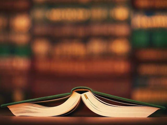 Bảo lãnh là gì? Ví dụ về bảo lãnh