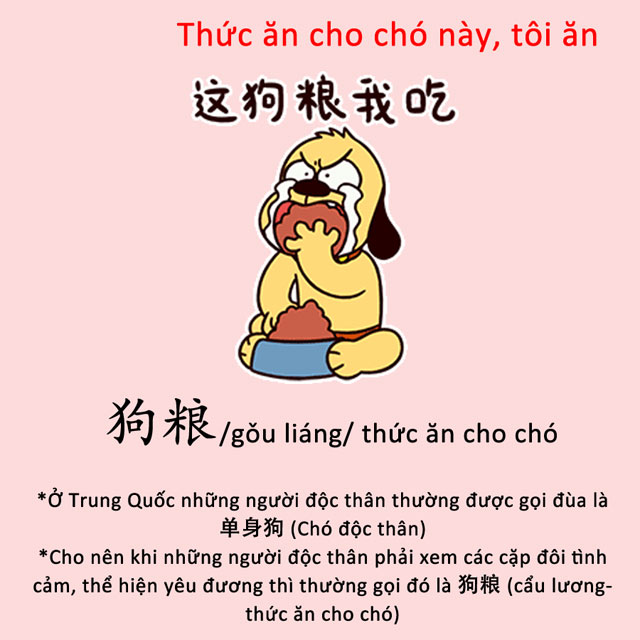 Ý nghĩa của “cẩu lương”