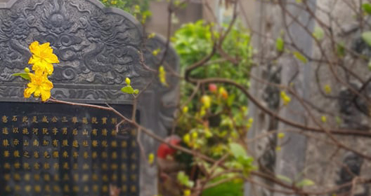 Lời chúc Tết, Lời Chúc mừng năm mới, Lời chúc Tết hay ý nghĩa, Chúc mừng năm mới, Lời Chúc mừng năm mới 2021, Lời chúc Tết 2021, Chúc mừng năm mới 2021, câu chúc tết