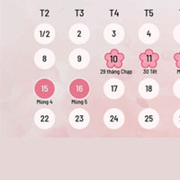 Ngày mùng 5 tết 2025 tốt hay xấu?