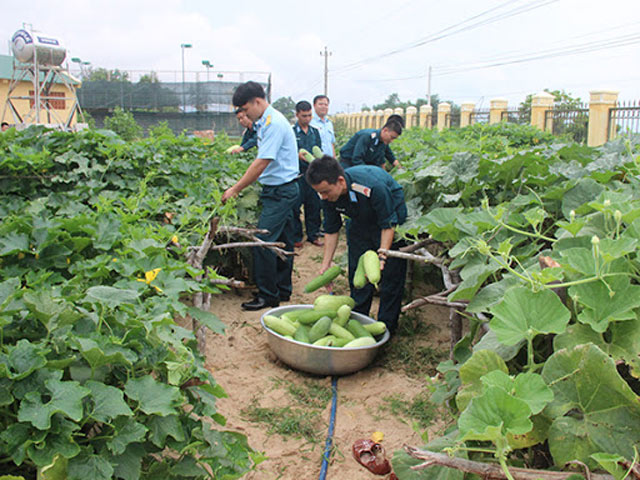 Chính sách Ngụ binh ư nông là gì?