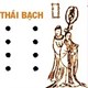 Sao Thái Bạch tốt hay xấu? Cách cúng sao Thái Bạch