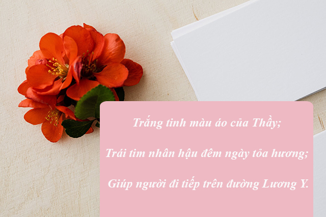 Thiệp mừng ngày thầy thuốc Việt Nam