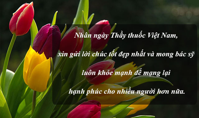 Thiệp mừng ngày thầy thuốc Việt Nam