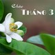 Tháng 3 tiếng Anh là gì? Lời chúc Tiếng Anh tháng 3