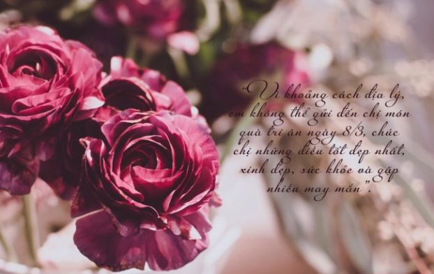 Thư chúc mừng 8-3