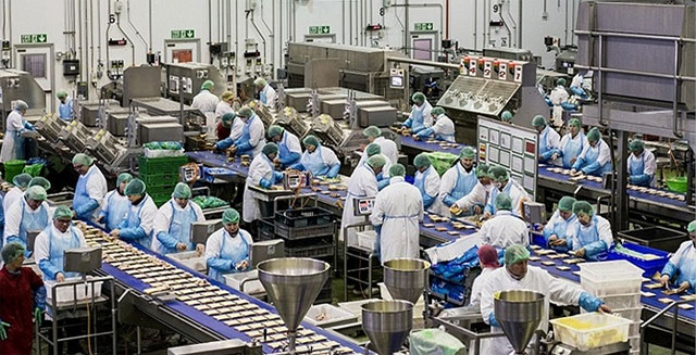 Lực lượng sản xuất là gì?