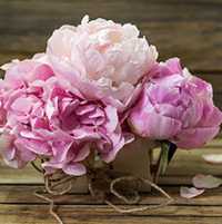 Chúc mừng ngày 8-3 bằng tiếng Anh 2024