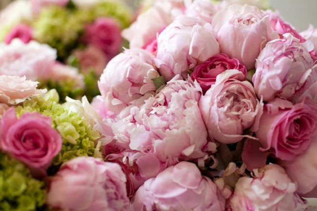 Lời chúc 8-3 đồng nghiệp