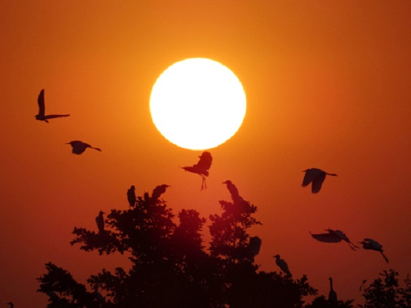 Phân tích bức tranh thiên nhiên trong bài Chiều tối