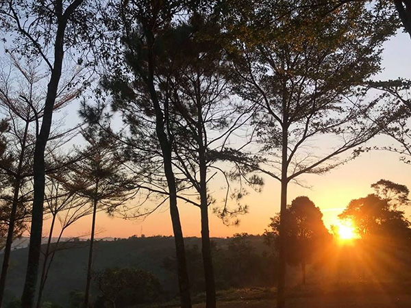 Cảm nhận 2 khổ đầu bài Từ ấy