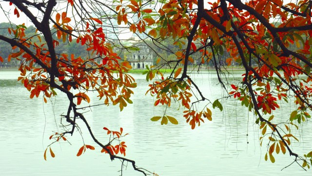 Phân tích khổ 1 bài sang thu