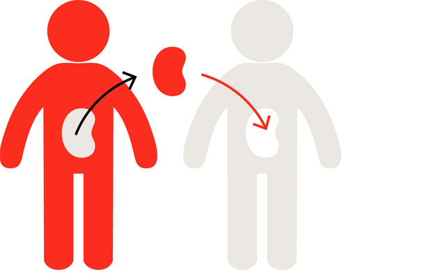 Người hiến tạng được hưởng những quyền lợi gì?