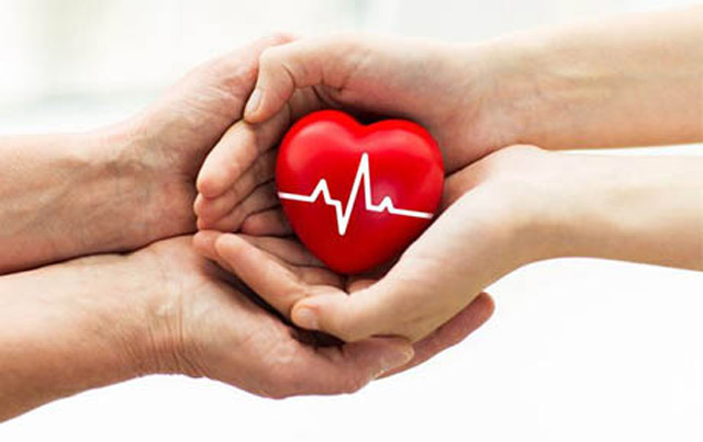 Mẫu đơn đăng ký hiến xác