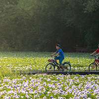 Bài dự thi viết Ký ức mùa Hè của tôi