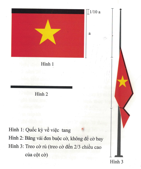 Cách treo cờ tổ quốc