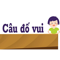 Tổng hợp những câu đố vui có đáp án