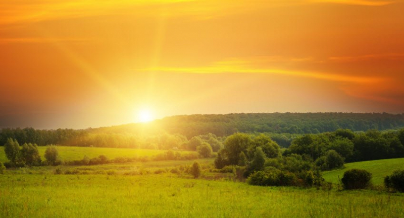 Viết một đoạn văn tả cảnh mặt trời mọc mà em quan sát được hay chọn lọc