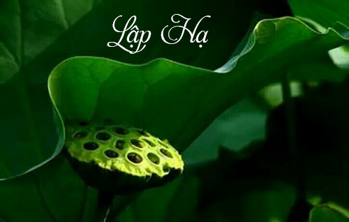 Lập hạ là ngày bao nhiêu?