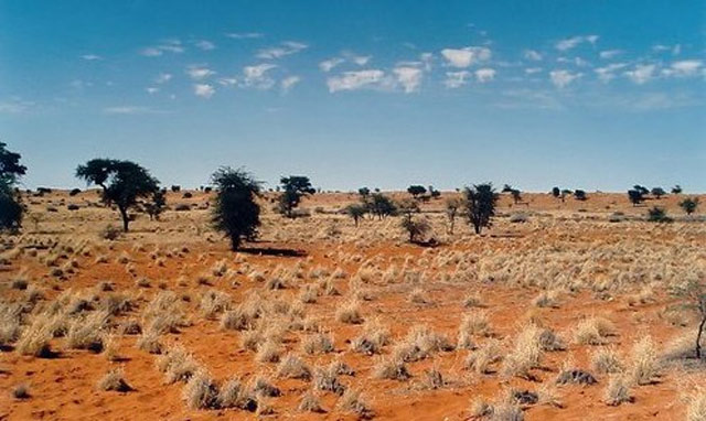 Đất khai hoang có được cấp sổ đỏ không?