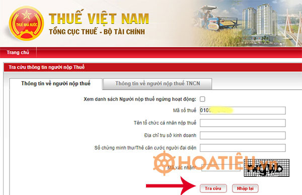 Tra cứu ngày cấp MST doanh nghiệp