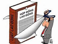 Quy định pháp luật về hợp đồng lao động