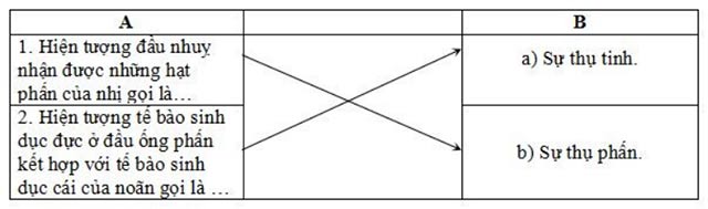 Đề kiểm tra học kì 2 lớp 5 môn Khoa học