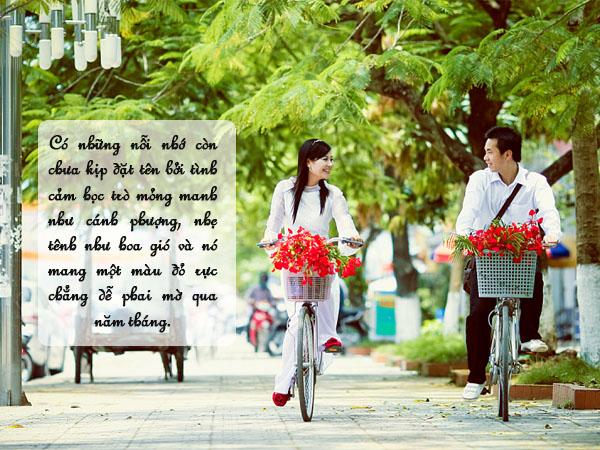 Tổng hợp những bài viết kỷ yếu hay tuổi học trò