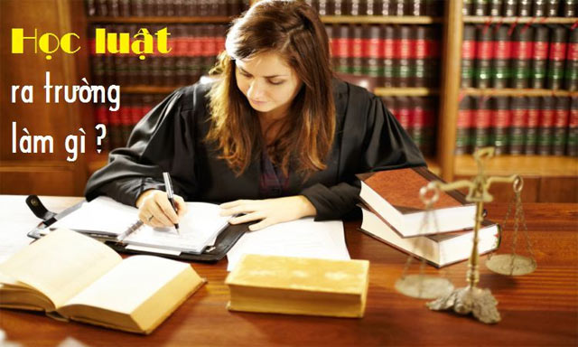 Cử nhân luật ra trường làm gì?