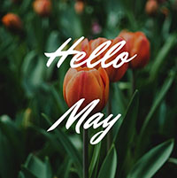 Thơ hay về tháng 5