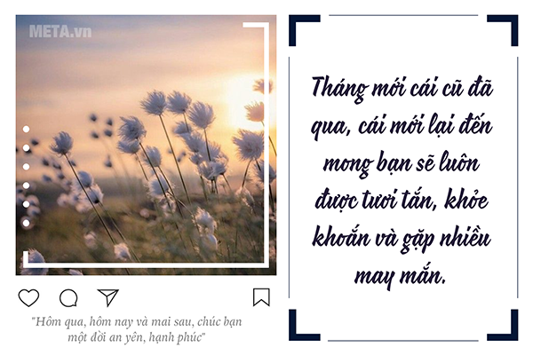 Ảnh mùng 1 may mắn 
