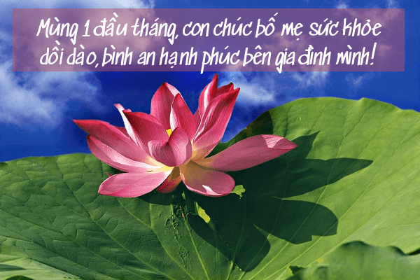 Ảnh mùng 1 may mắn