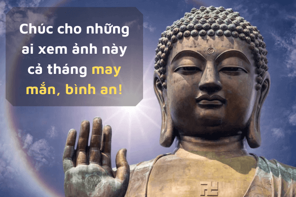 Ảnh mùng 1 may mắn