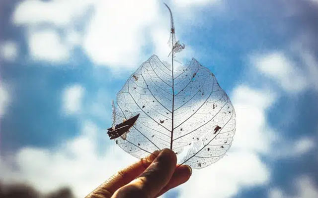 Lời bài hát Khóc đêm - Tăng Phúc ft Trương Thảo Nhi