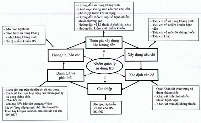 Quy trình triển khai hoạt động của nhóm quản lý sử dụng kháng sinh