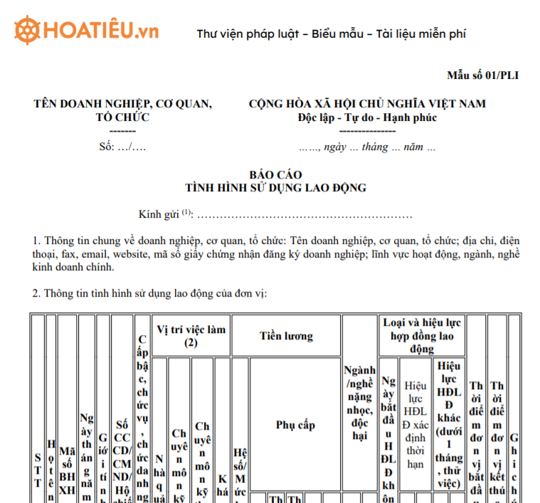 Mẫu báo cáo tình hình sử dụng lao động năm 2021 - Mẫu 01/PLI