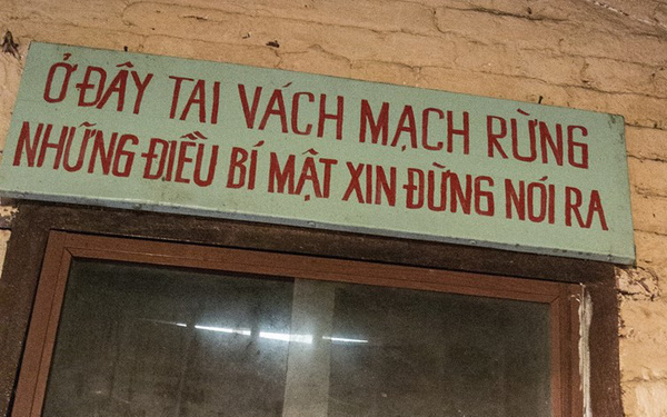 Tai vách mạch dừng hay Tai vách mạch rừng, từ nào đúng chính tả?