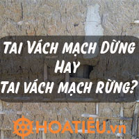 Tai vách mạch dừng hay Tai vách mạch rừng, từ nào đúng chính tả?