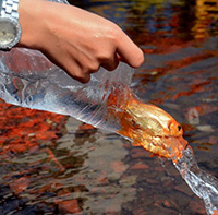 Những điều nên làm trong ngày Phật đản 2023