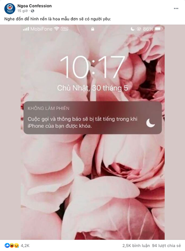 Hình nền hoa mẫu đơn có ý nghĩa gì?
