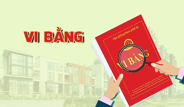 Vi bằng là gì? 