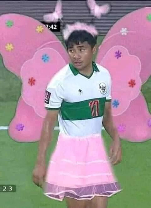 Ảnh chế Việt Nam - Indonesia