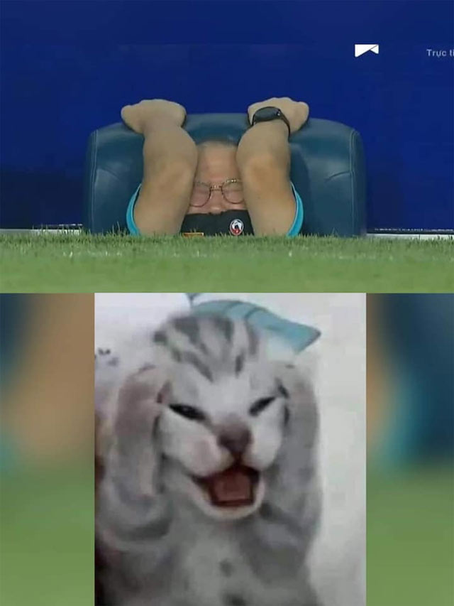 Ảnh chế Việt Nam - Malaysia 2021