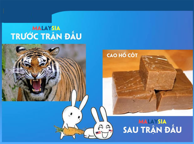 Ảnh chế Việt Nam - Malaysia