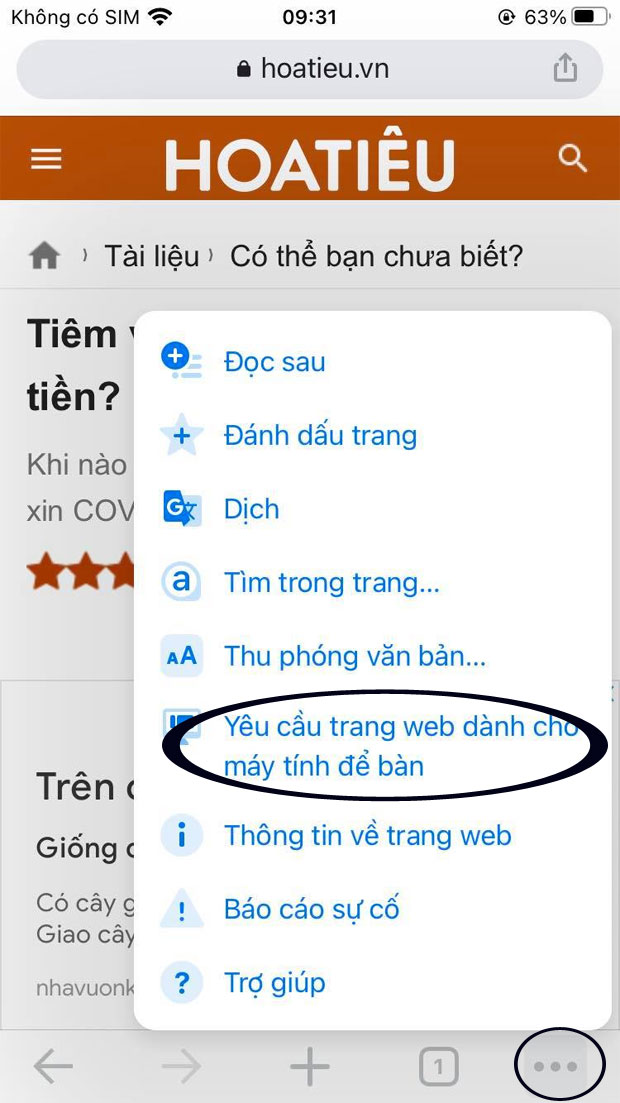 Cách vào Zalo web trên điện thoại