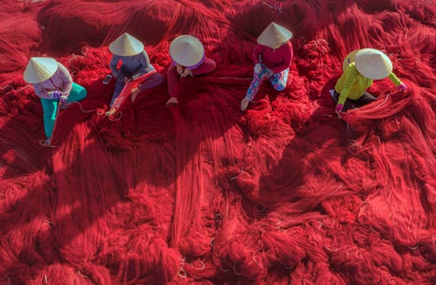 Ảnh dự thi Nét đẹp lao động: Tháng ngày tảo tần