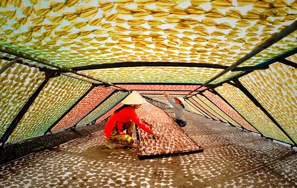 Ảnh dự thi Nét đẹp lao động: Tháng ngày tảo tần