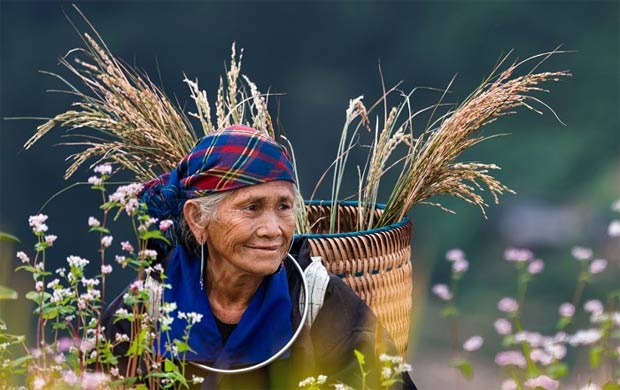 Ảnh dự thi Nét đẹp lao động: Tháng ngày tảo tần