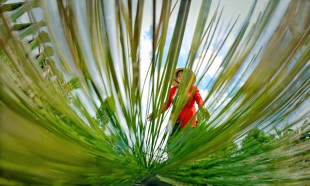 Ảnh dự thi Nét đẹp lao động: Sắc màu cho ngày chăm chỉ