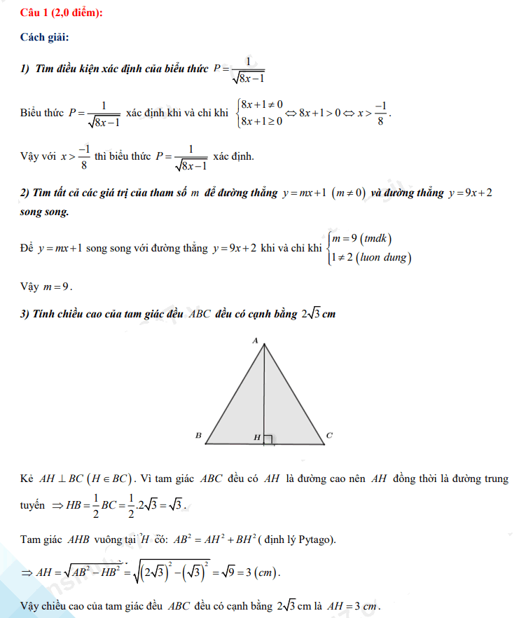 Đáp án đề thi vào lớp 10 năm 2021 môn Toán Nam Định